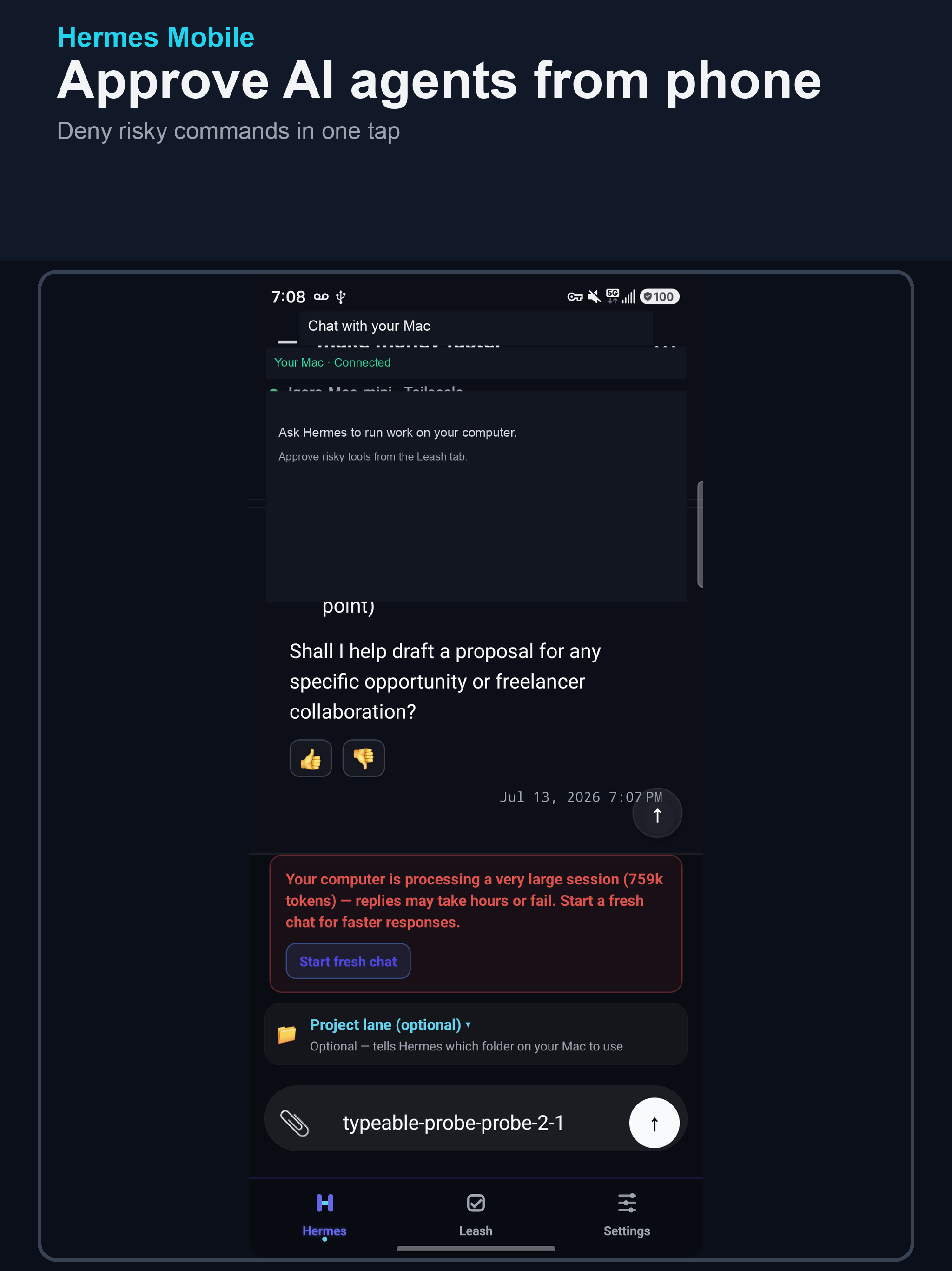 Hermes AI Agent Leash screenshot 13