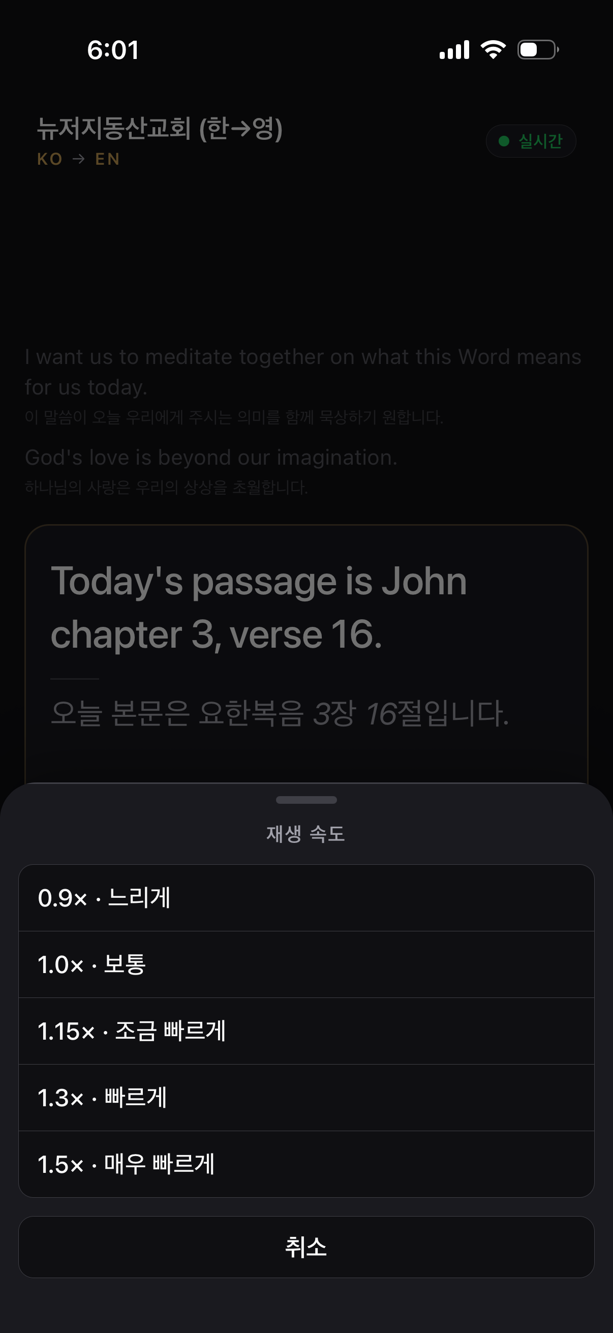 Sermon Translator Voice screenshot 3