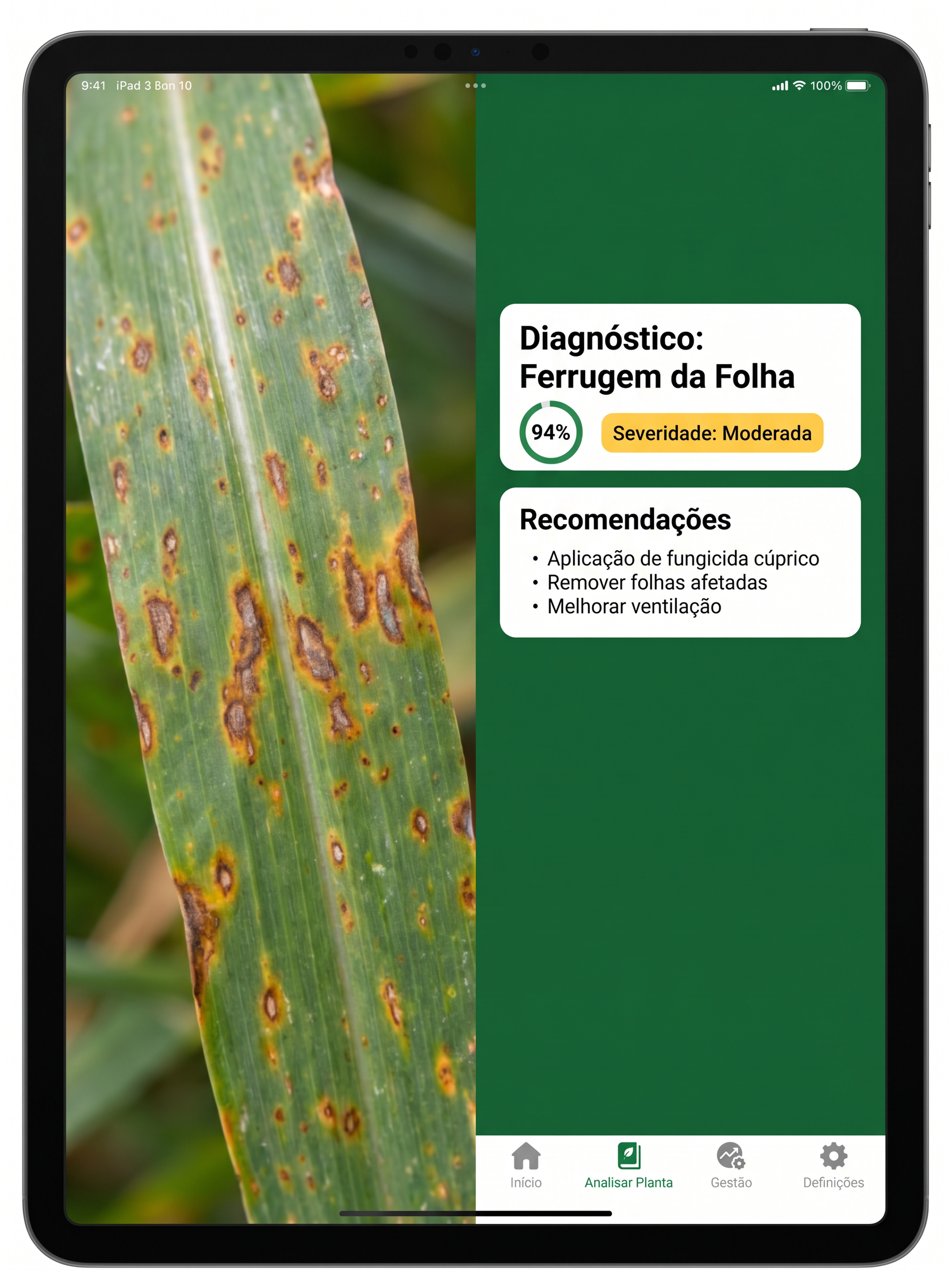 AgroKuia