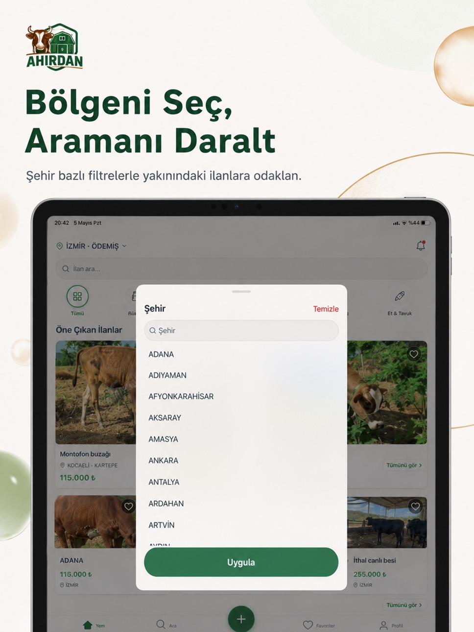 iPad screenshot