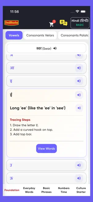 Desibhasha screenshot 3