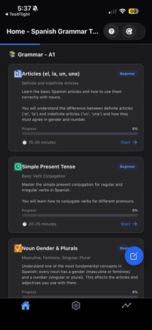 A1/A2 Spanish Grammar screenshot