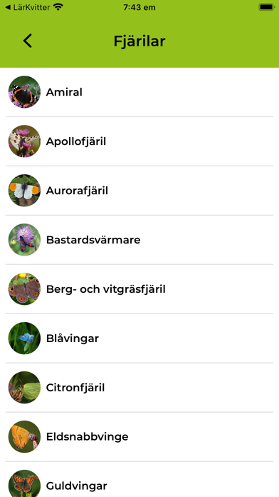 Fjärilar Screenshot