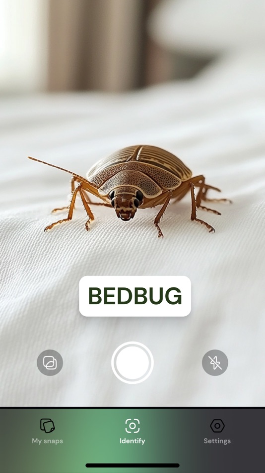 #3. AI Insect Identifier, Bug App (iOS) 由: Urjasz Kowalski