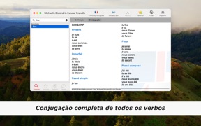 Michaelis Escolar: Francês screenshot