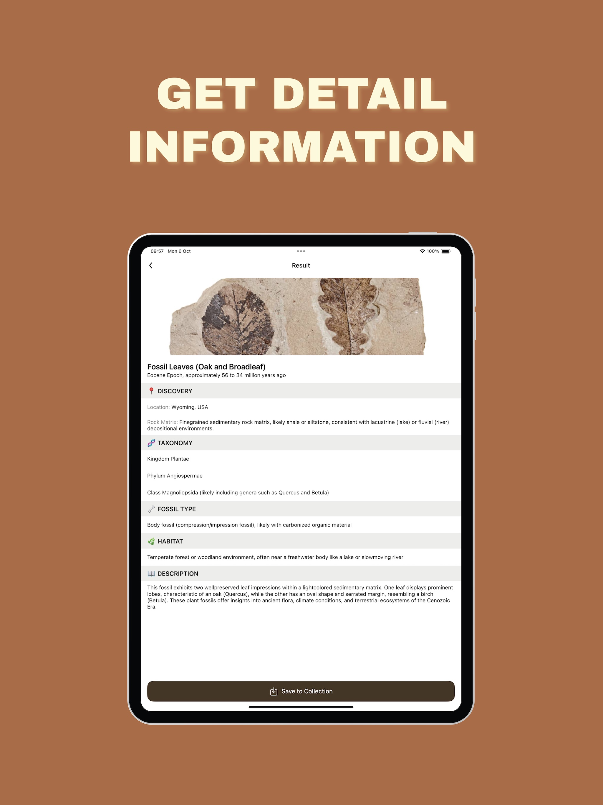 Fossil Identifier: AI Scanner