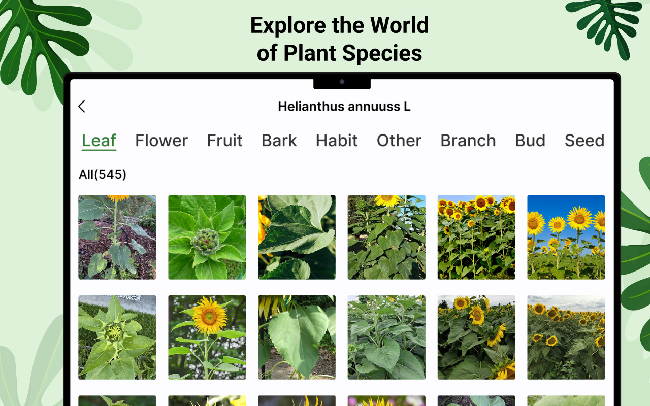 Plant ID: Identify Plants AI screenshot 12