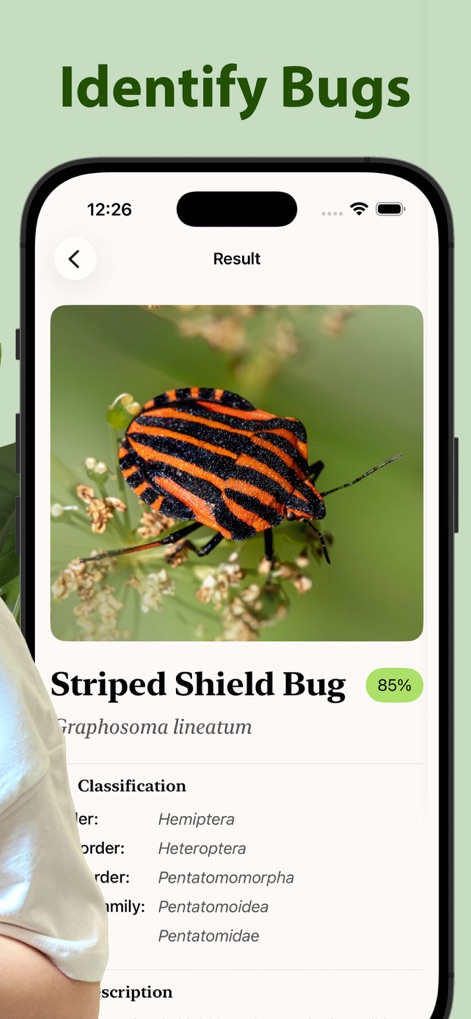Insecta - Bug Identifier - Reference App | MWM
