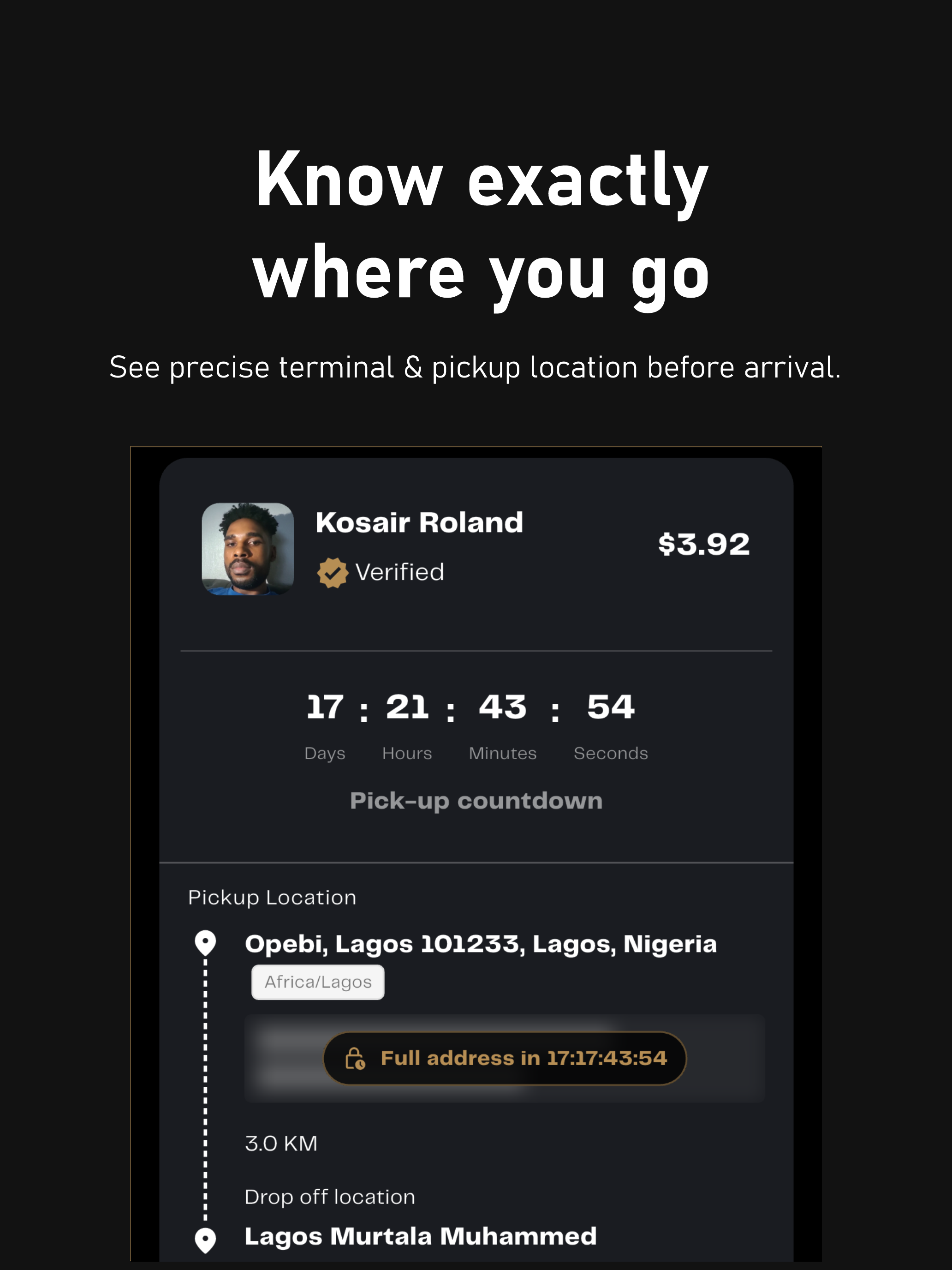 AirportRun Driver screenshot 8