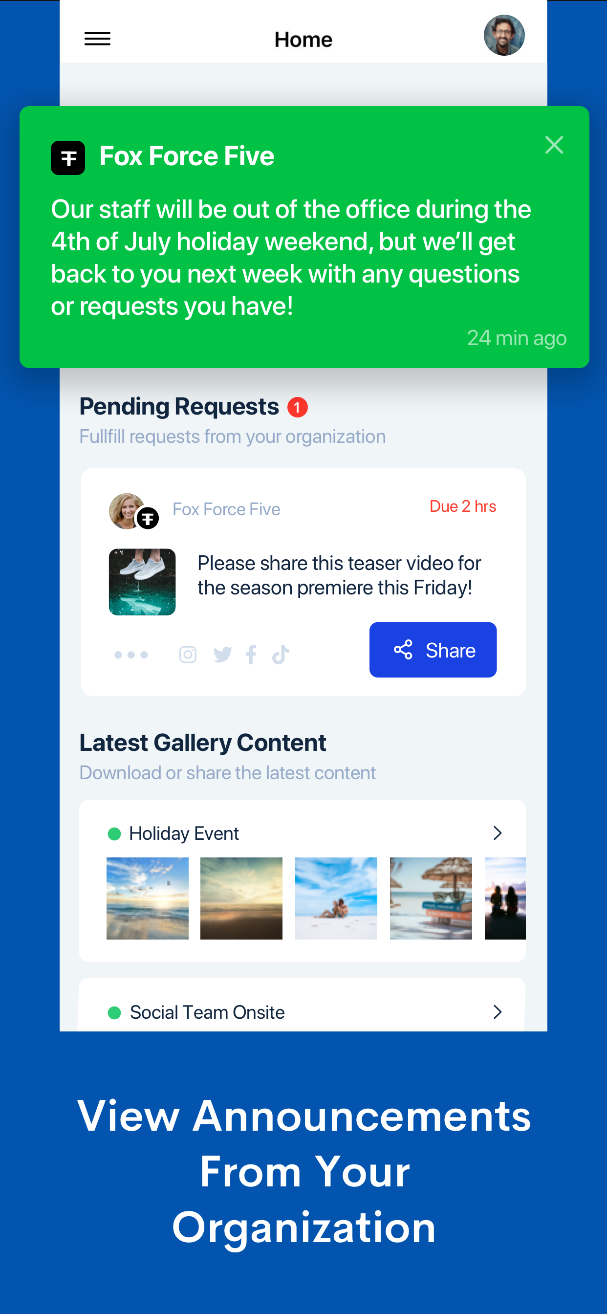 Greenfly screenshot 8