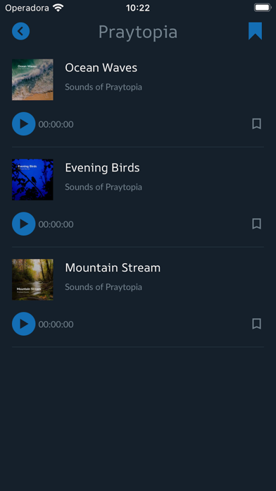 PRAYTOPIA Screenshot