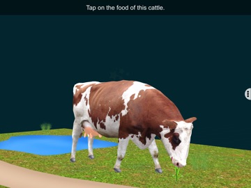 Ruminant Digestion-EduTech Era iPad screenshot