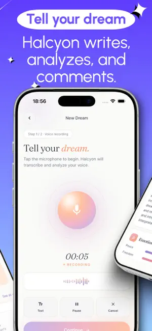 Halcyon: Dream Interpretation screenshot 2