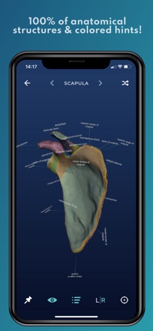 Skelviewer2 iPhone screenshot