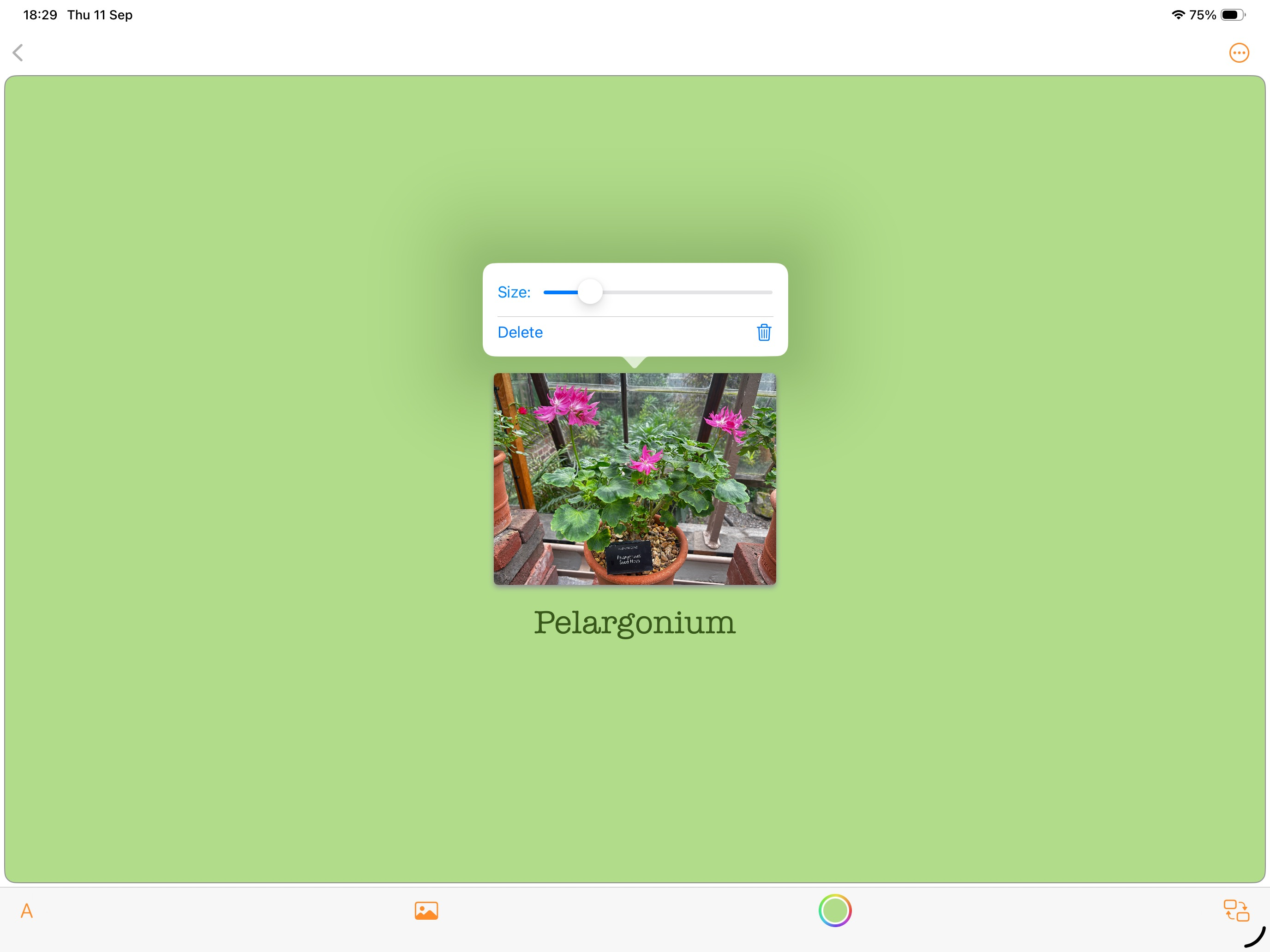 FlashFlex screenshot 12
