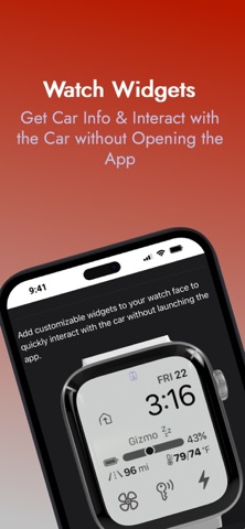 Stats -- For your Tesla iPhone screenshot