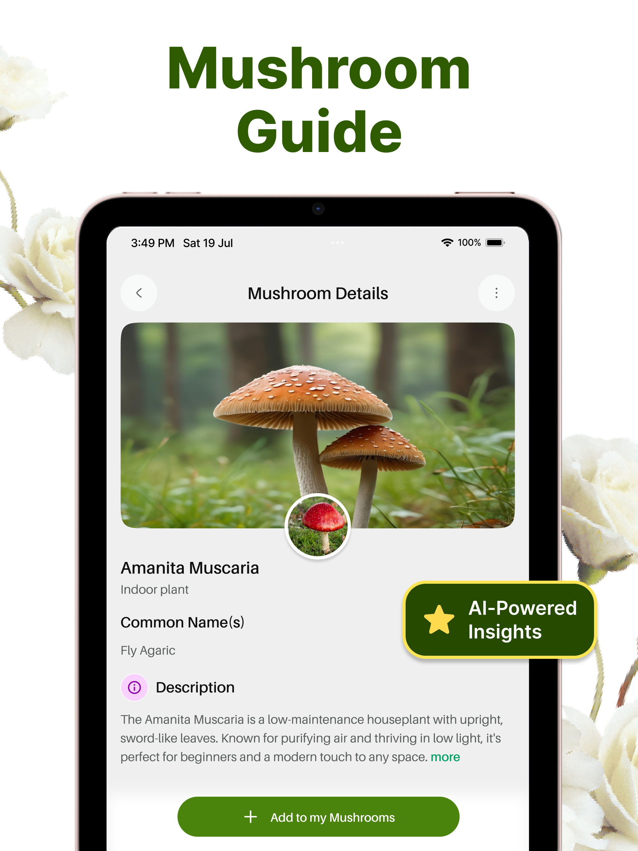 Mushroom Scanner AI: Shroom ID screenshot 8