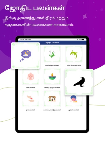 Skyra Tamil Calendar iPad screenshot