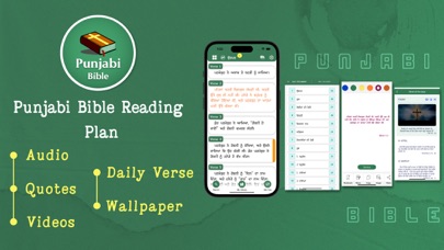Punjabi Bible - Offline Screenshot