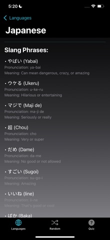 Learn Slang Language Lessons screenshot