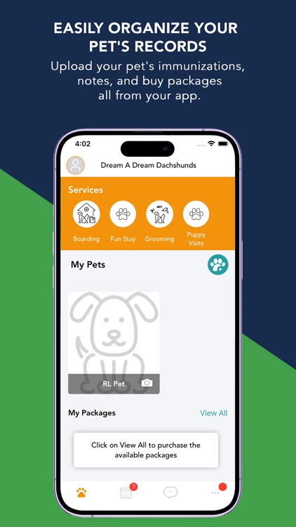 Dream A Dream Dachshunds