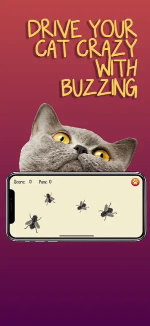Cat Games screenshot 4