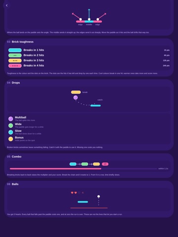 Brickrally iPad screenshot