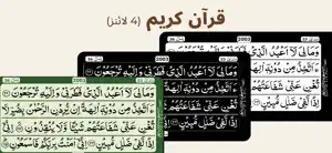 Quran Kareem 4 Lines screenshot 1