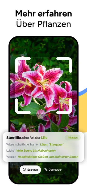 Lens AI & Reverse Image Search screenshot 4 of 7