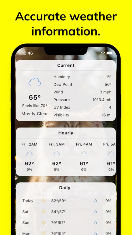 Meow Weather - Cat Forecast