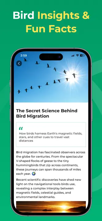 Bird Identifier: Screenshot 5 von 6