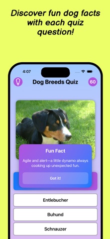 Dog Breeds Quiz iPhone screenshot