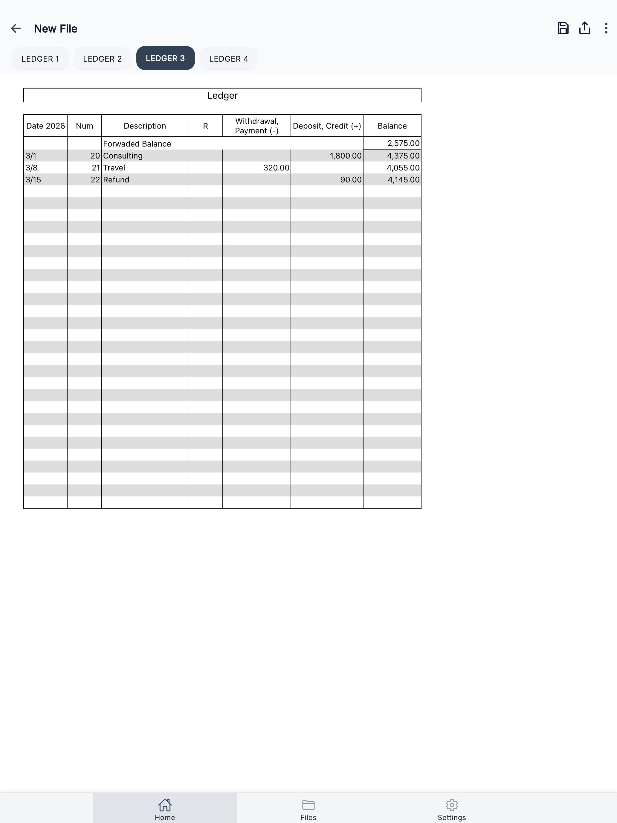 Account Ledger screenshot 12
