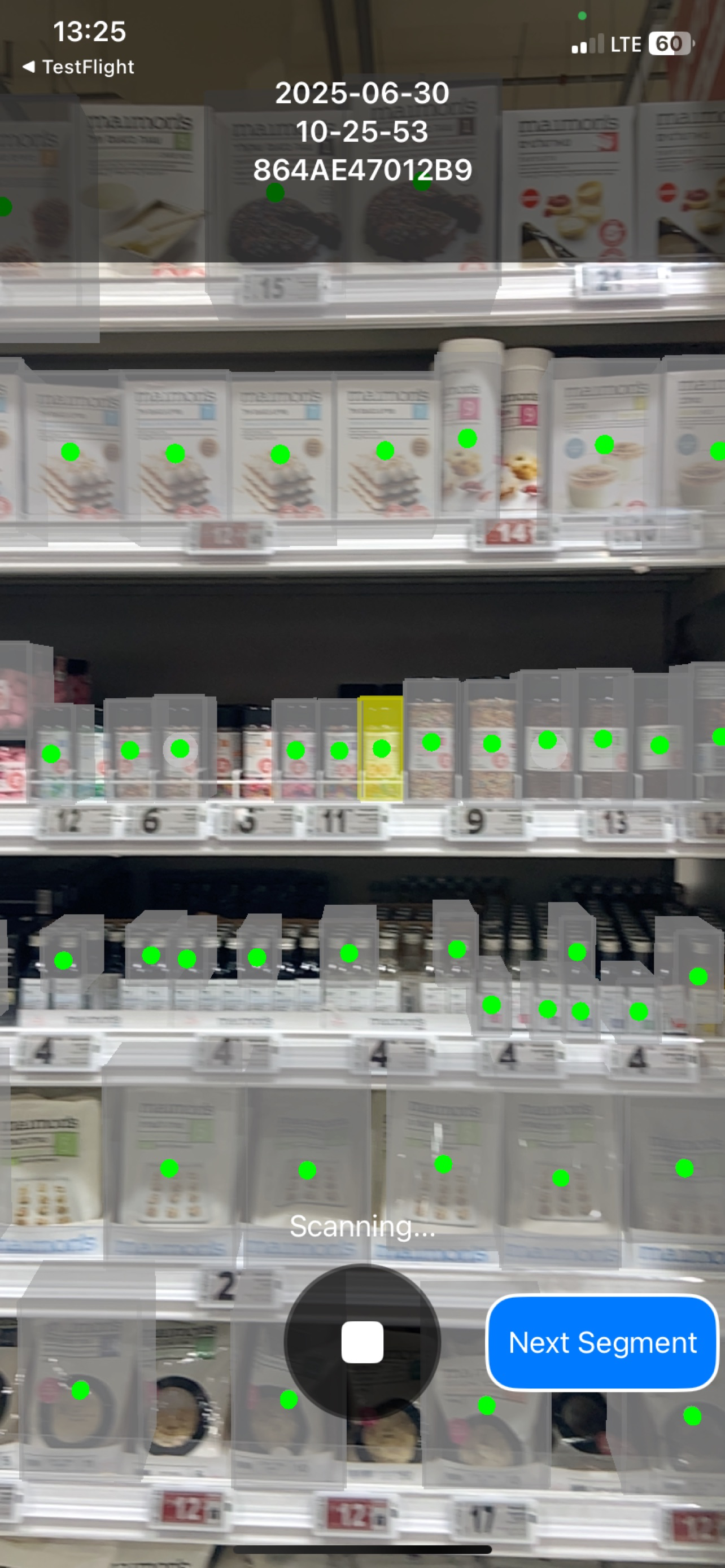Arpalus Store Audit