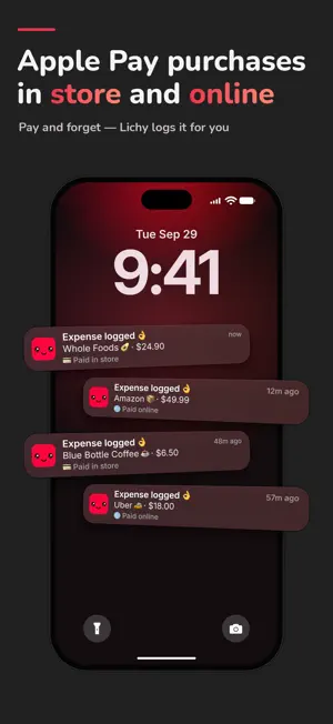 Money & Expense Tracker: Lichy screenshot 4