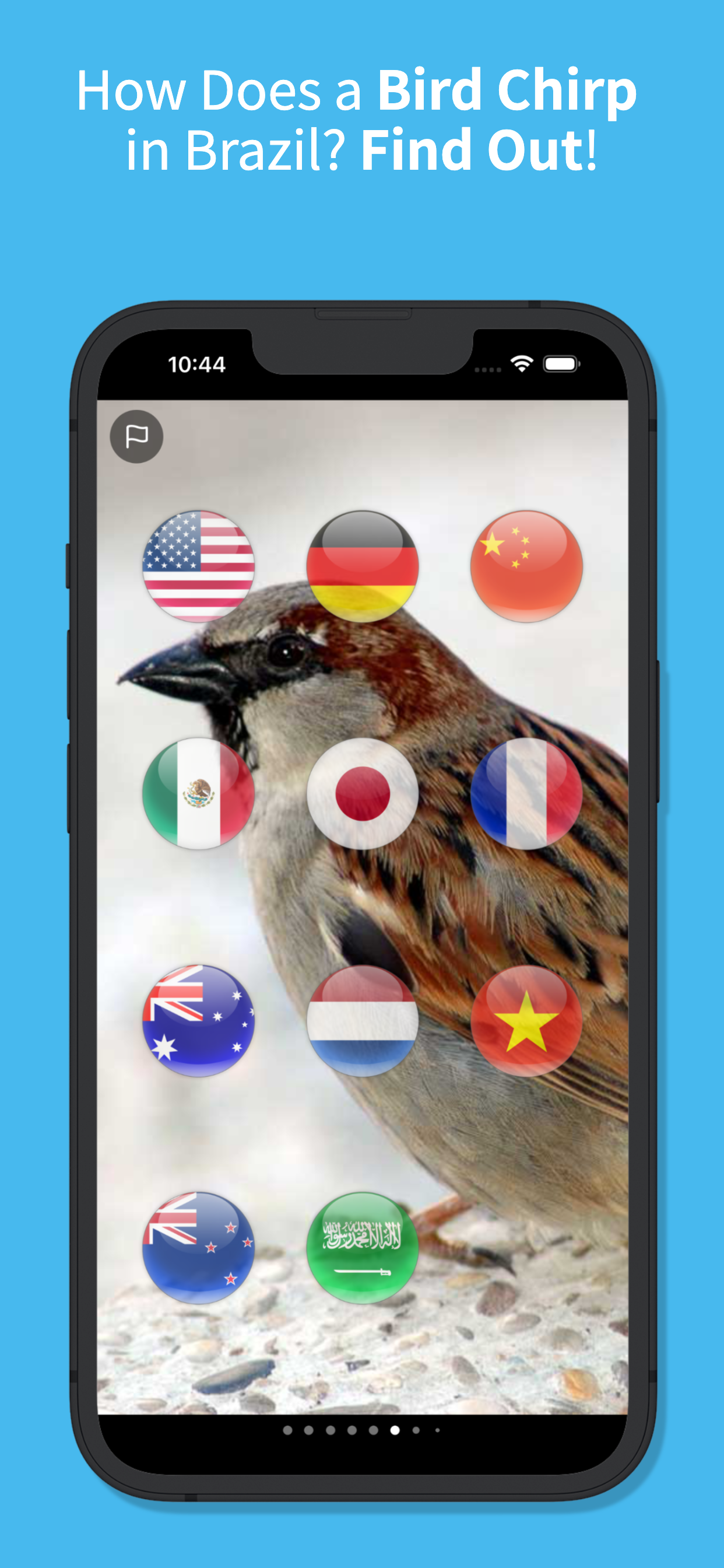 Animal Sounds Translator