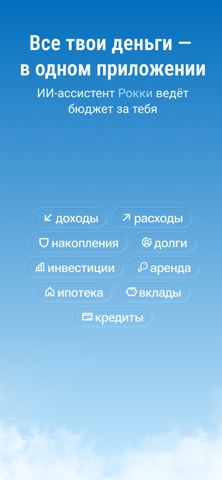 Бюджет, инвестиции, пассив screenshot