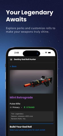 Destiny God Roll Hunter screenshot
