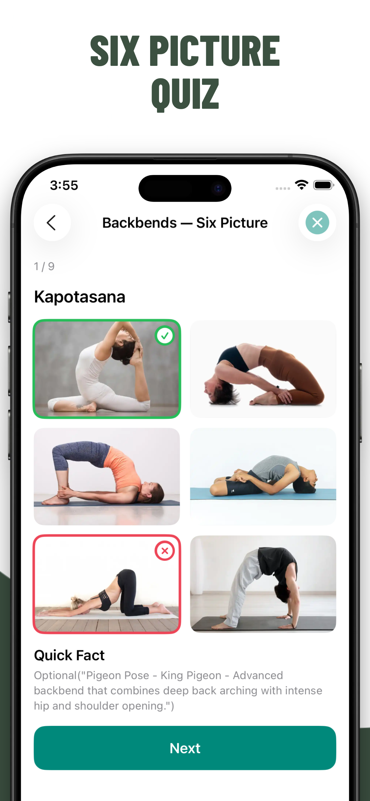 Yoga Poses Quiz
