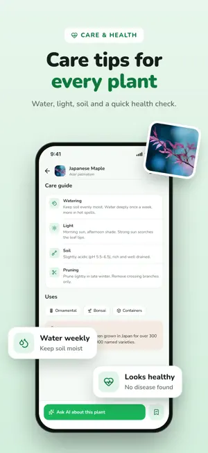 Wood Ai: Tree & Plant Scanner screenshot 4