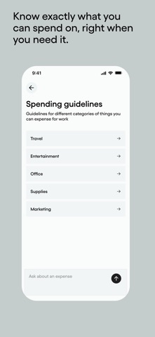 Pleo app screenshot 3