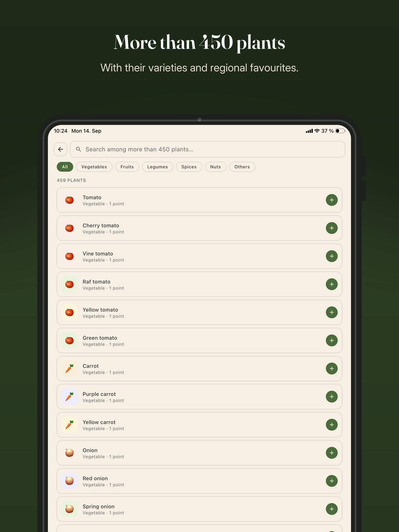 Screenshot 11 of Hojaria