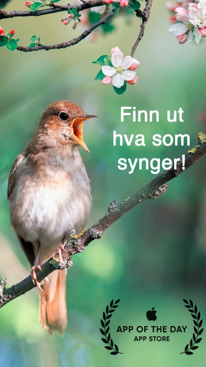 Kvitromat - Fuglesang ID