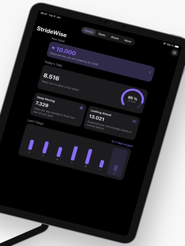 StrideWise: Step Counter iPad screenshot