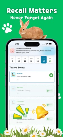 Paw Mind Screenshot 3
