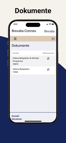 Brevalia Connex screenshot