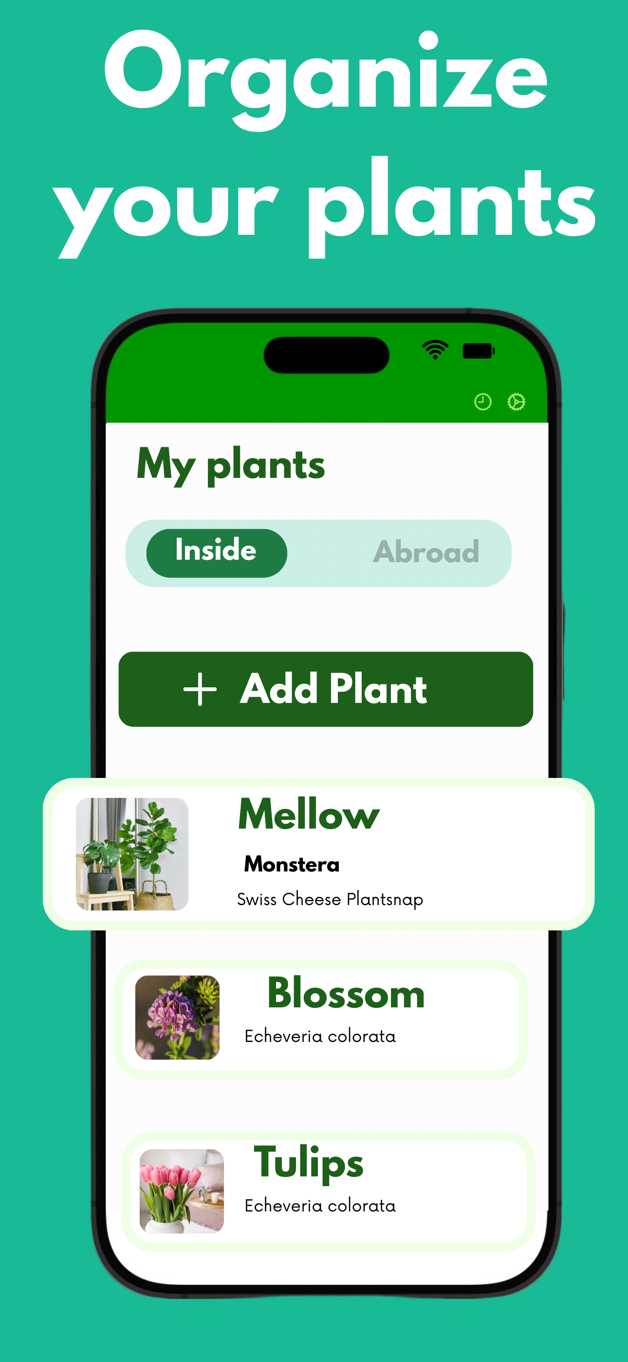 Plantsnap Plant Identifier