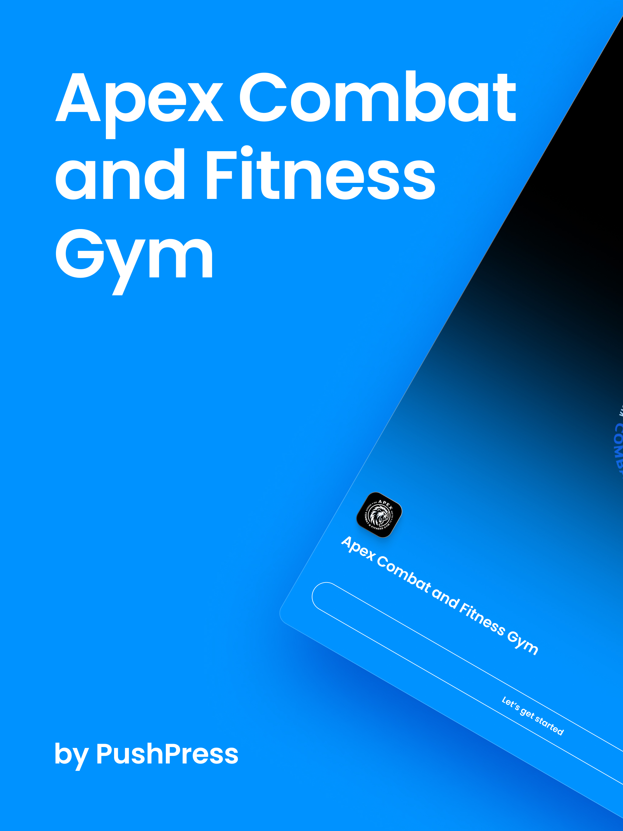 Apex Combat and Fitness Gym