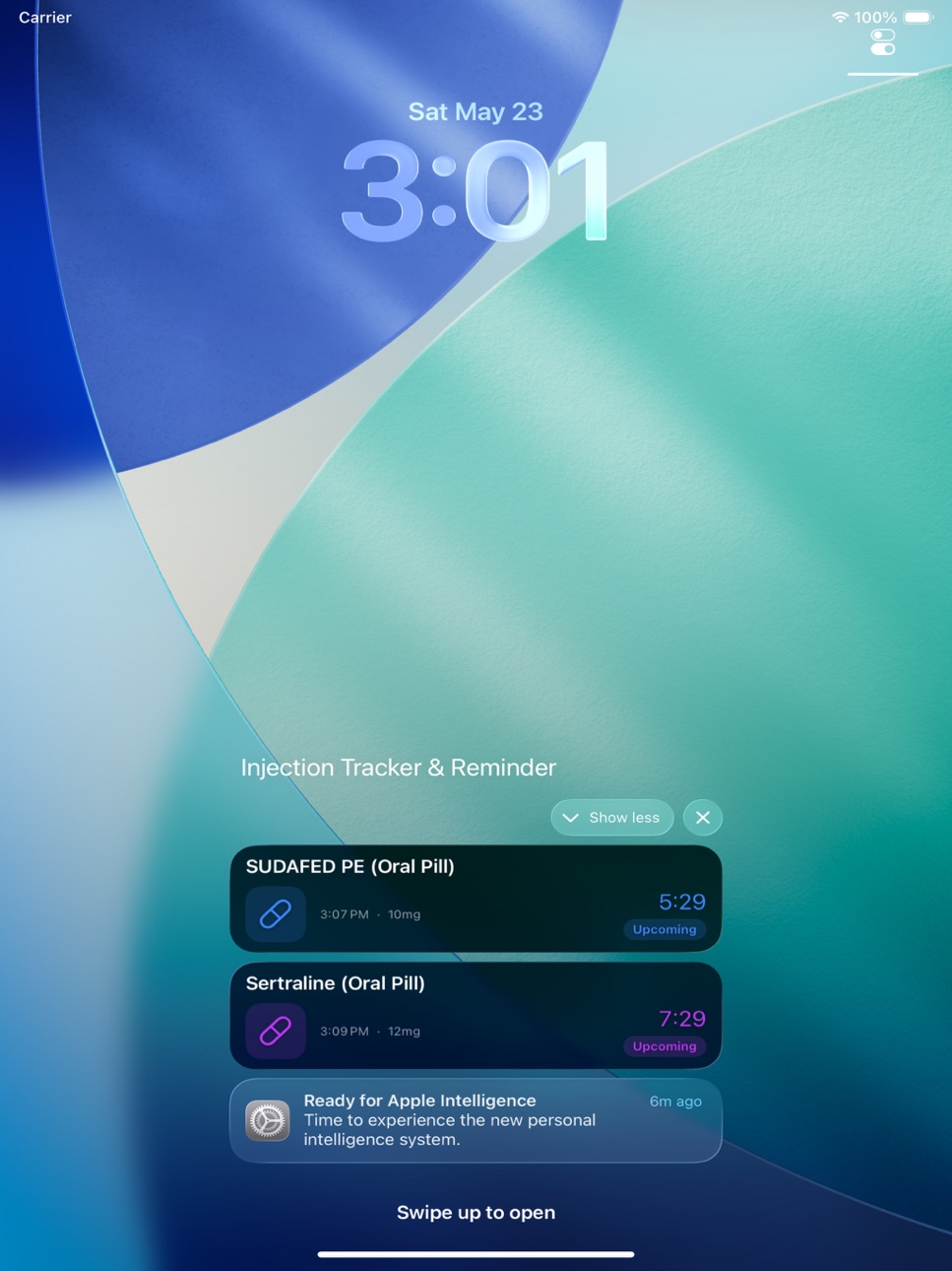 iPad screenshot