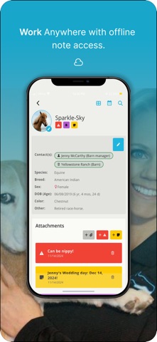 ChiroSimple Screenshot 3 of 8